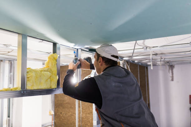 Best Cellulose Insulation  in Beaver Dam, WI