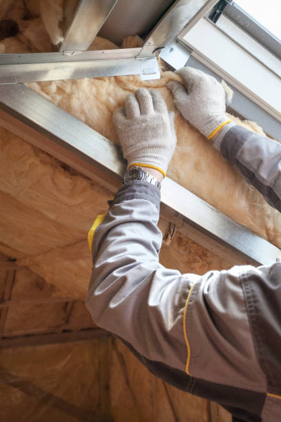 Best Insulation Contractors for Homes  in Beaver Dam, WI